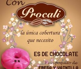 Fabrica de chocolates Procali
